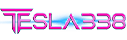Logo TESLA338